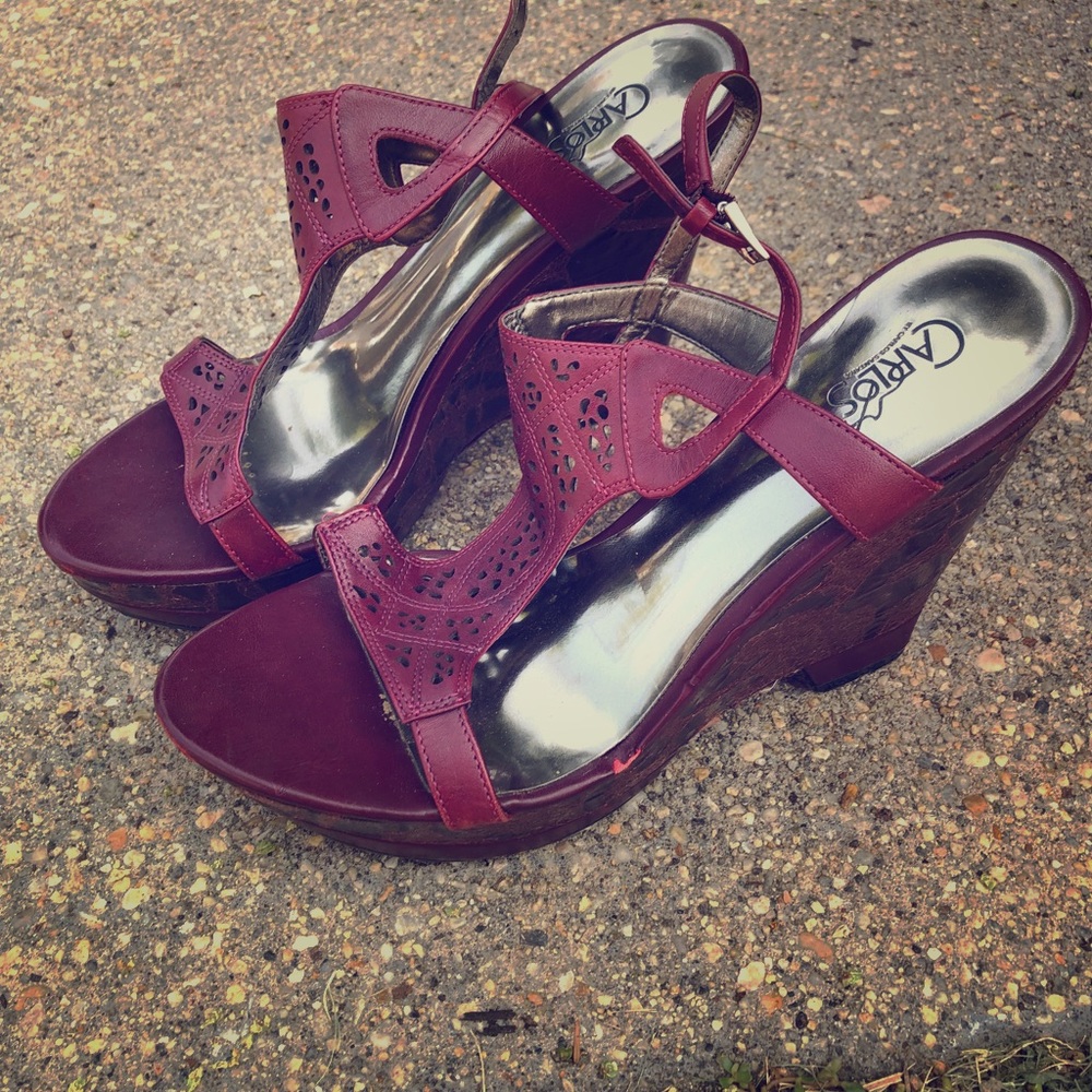 Platform Wedge Sandal